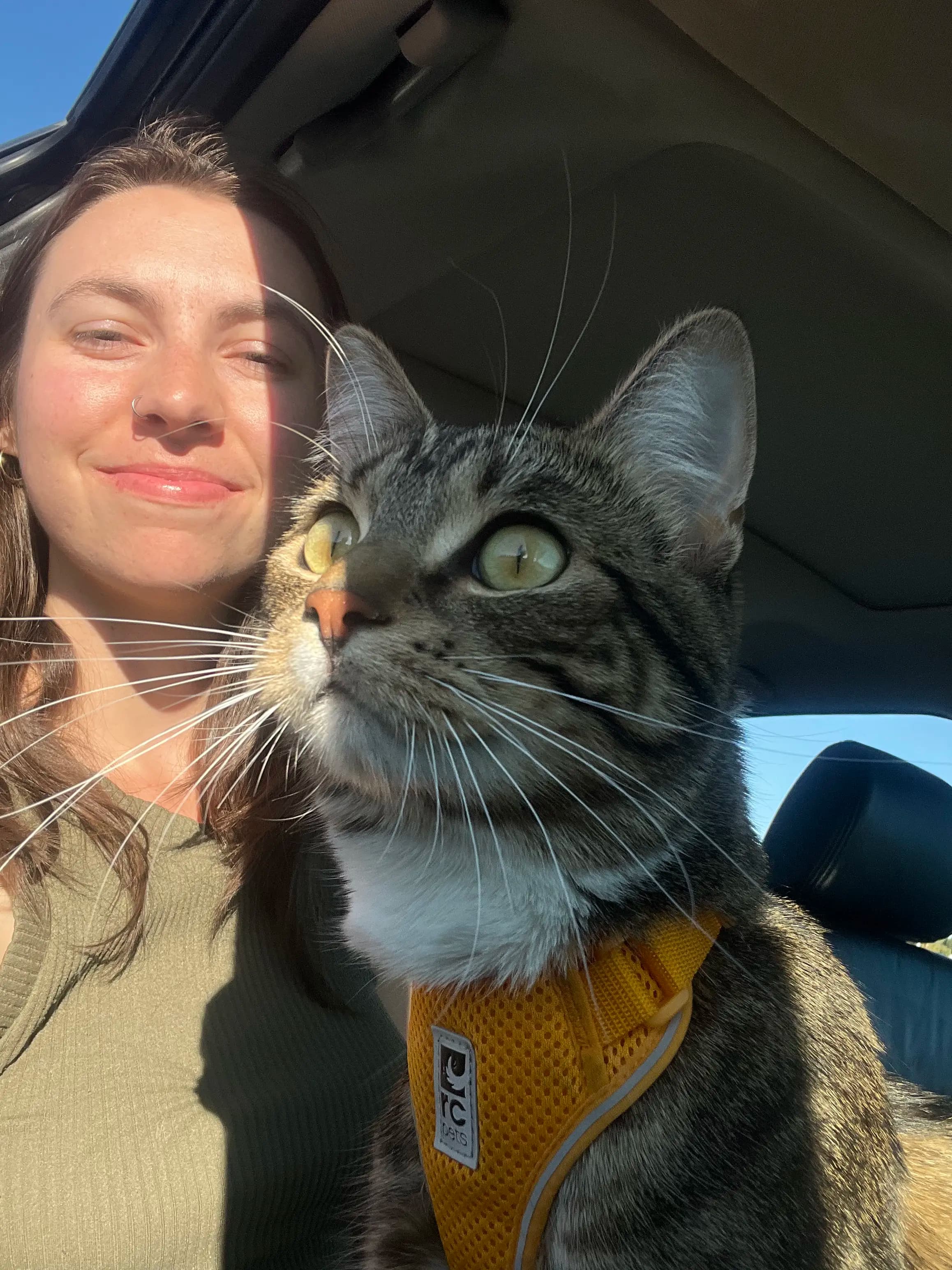 Lindsey and cat (Winston) in a car